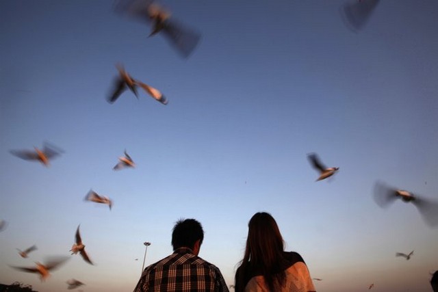 زوج میانماری