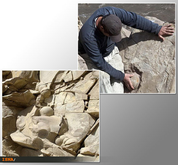 معدن تخم دایناسور