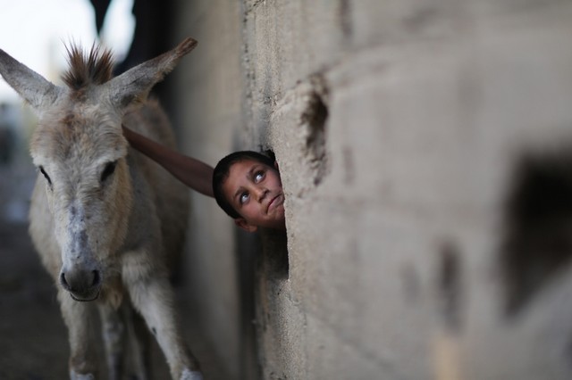 بیت لاحیا در غزه