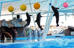 عکس پارک دلفین های تهران برج میلاد