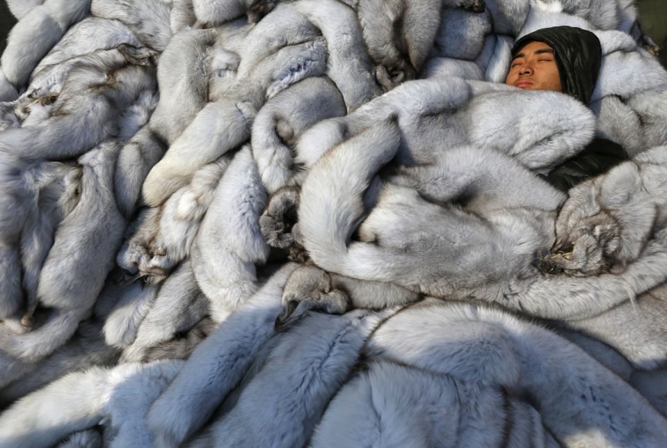 دیدنی های امروز