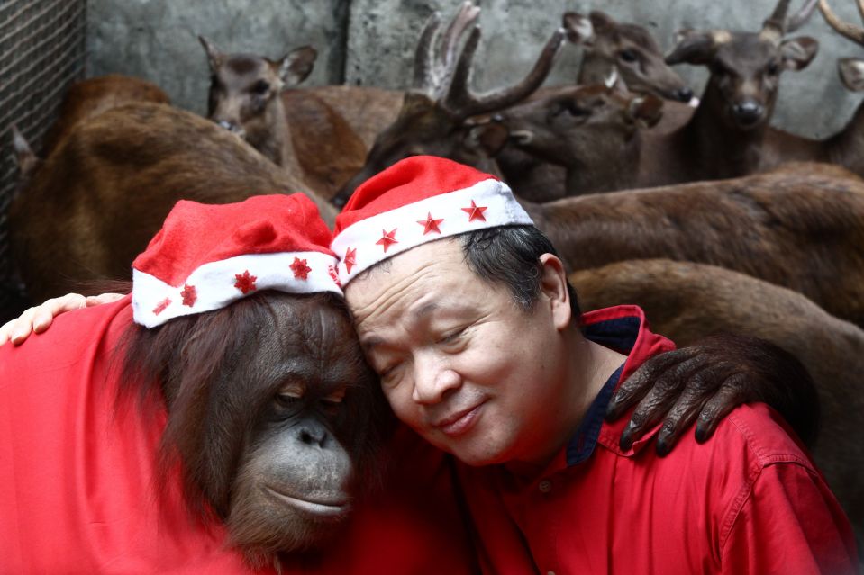 دیدنی های امروز