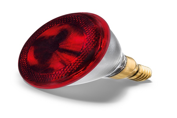 لامپ های حرارتی مادون قرمز تولید می شوند