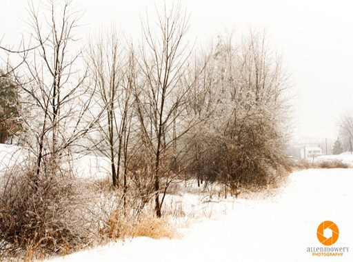 نکات آموزشی عکاسی در زمستان و برف