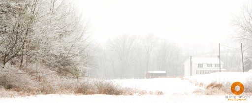 نکات آموزشی عکاسی در زمستان و برف