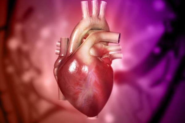 نجات جان کودکان با پرینت سه بعدی قلب