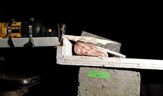 ساخت اره با دندان‌ های کوسه (+عکس)