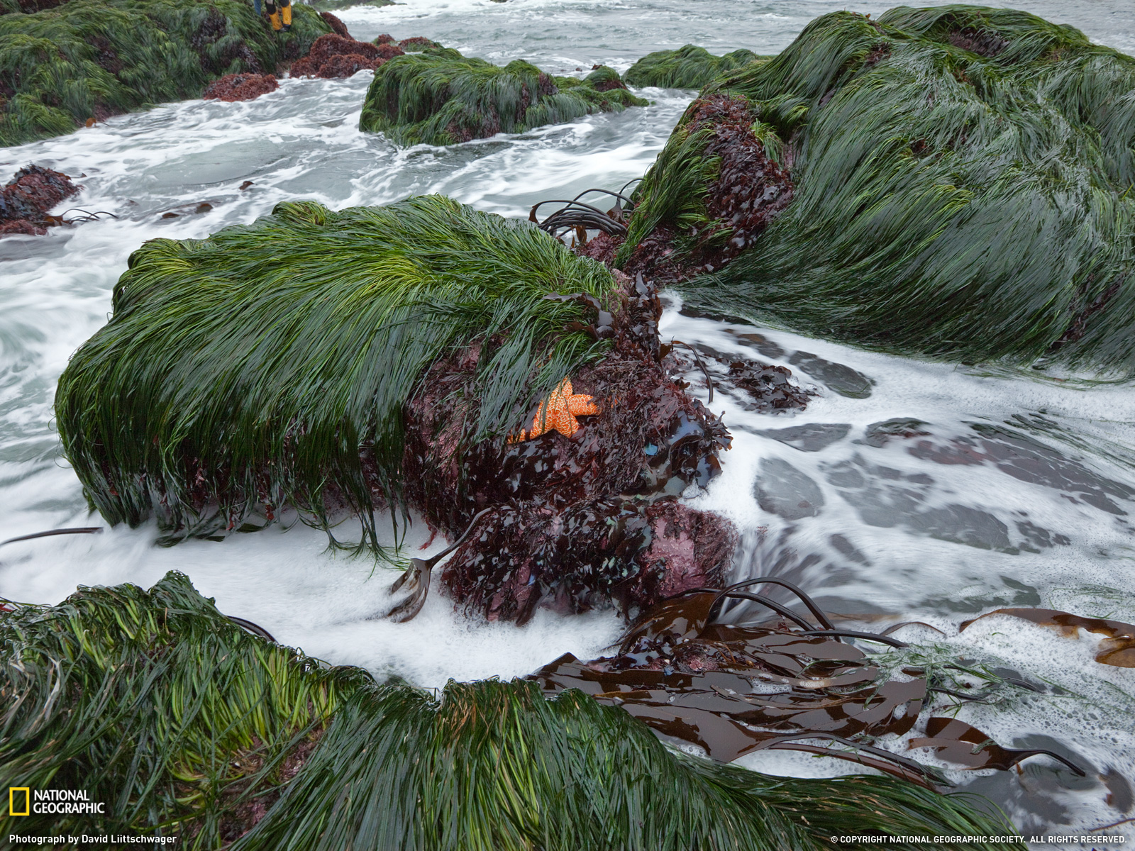 از نشنال جئوگرافیک(عکس)