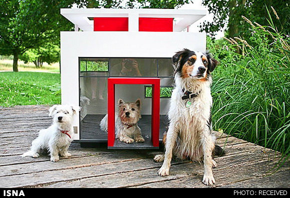 خانه‌های مجلل برای حیوانات خانگی (+عکس)