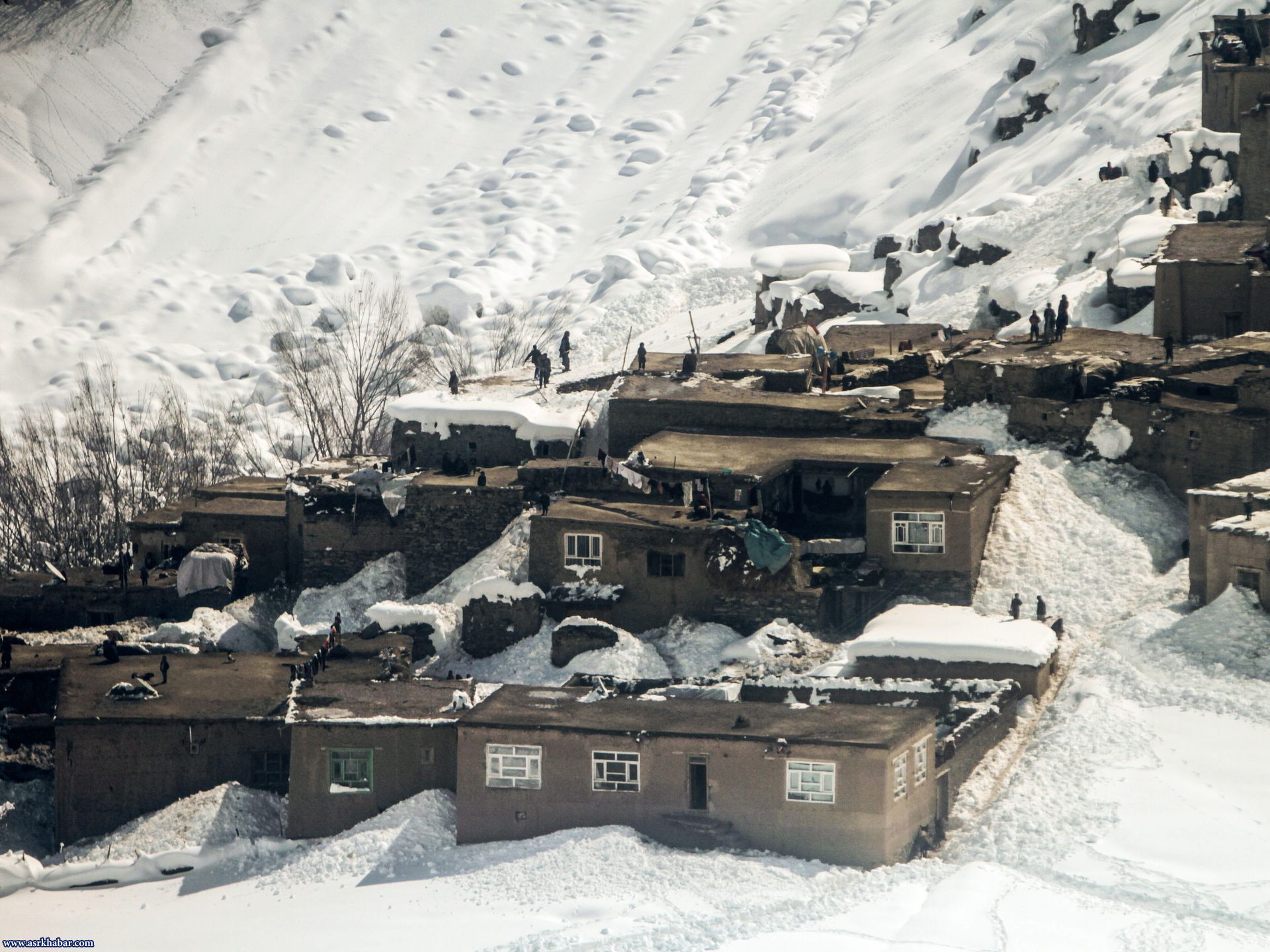 نجات افغان ها از بهمن (عکس)