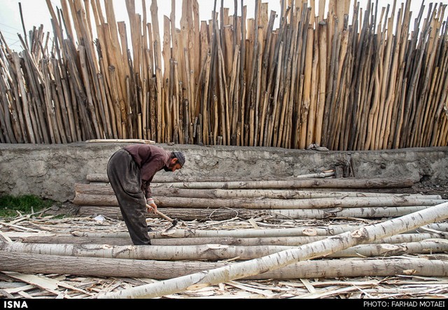 کارگاه چوب در سنندج (عکس)