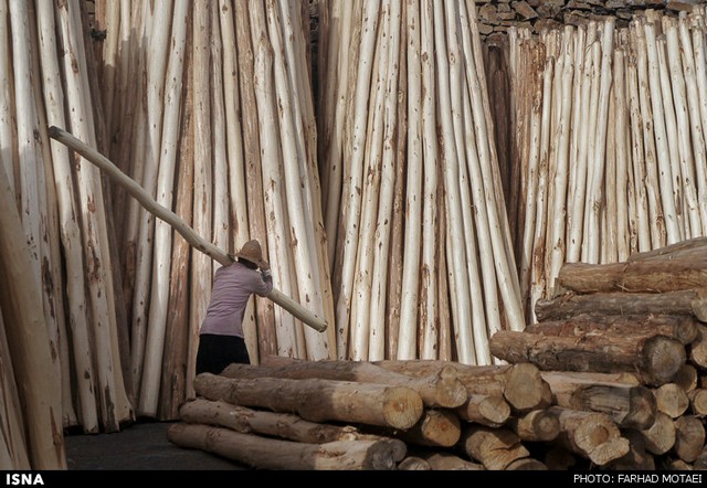کارگاه چوب در سنندج (عکس)