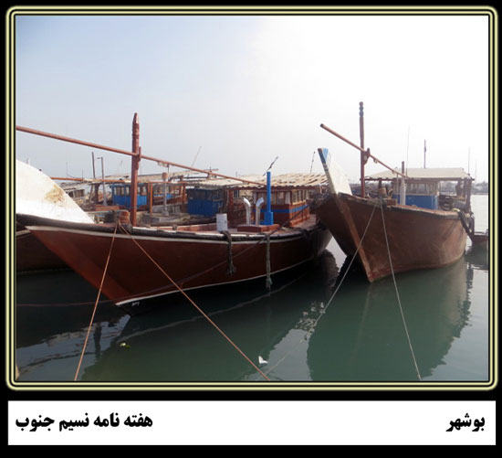 روایتی تصویری یک روز در بازار ماهی فروشان بوشهر