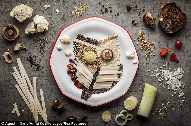 پرنده‌هایی از جنس غذا (عکس)