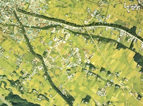 طولانی ترین کوچه باغ دنیا (+عکس)