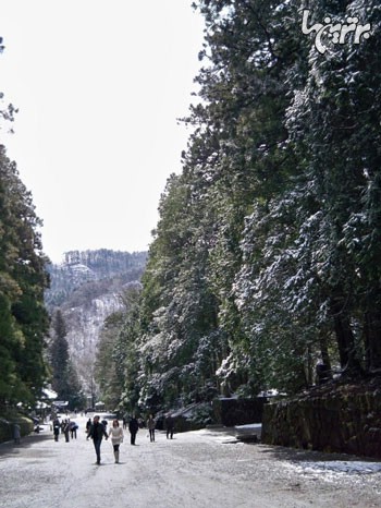 طولانی ترین کوچه باغ دنیا (+عکس)