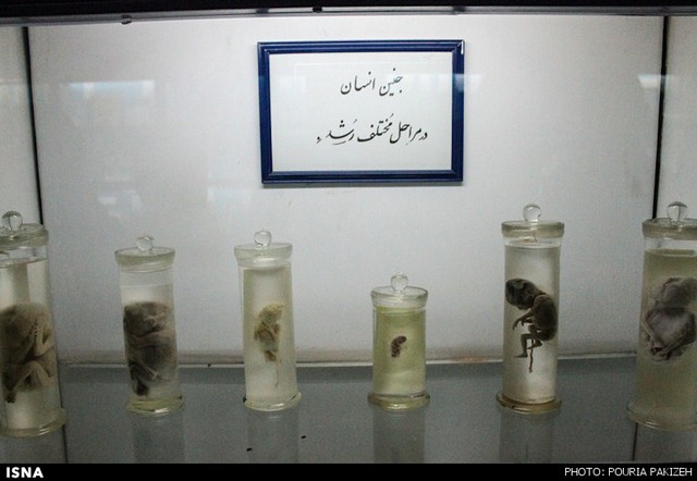 موزه‌ تاریخ طبیعی و مشاغل روستایی - همدان (عکس)