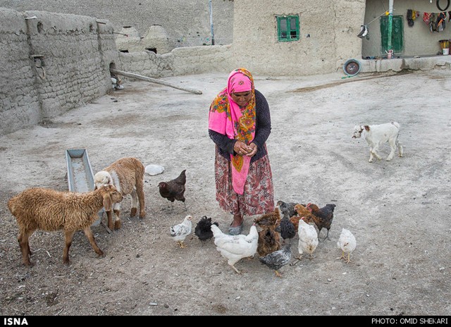 زندگی در روستای باران آباد - خراسان (عکس)