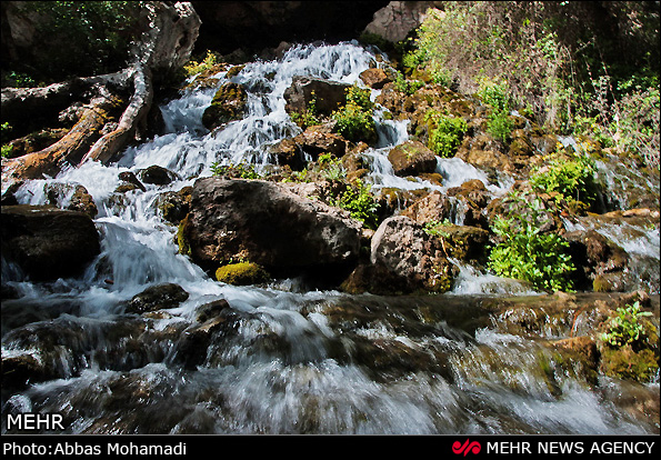 طبیعت بهاری روستای آب ملخ - اصفهان (عکس)