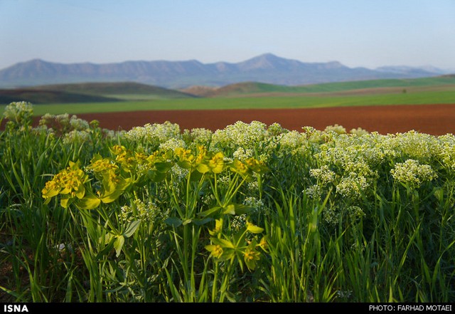 طبیعت زیبای چهل‌چشمه - کردستان (عکس)