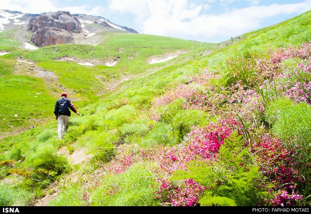 طبیعت زیبای چهل‌چشمه - کردستان (عکس)