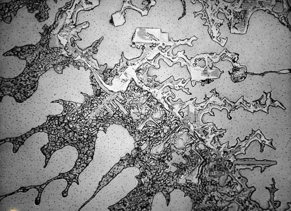 اشک انسان زیر میکروسکوپ (عکس)