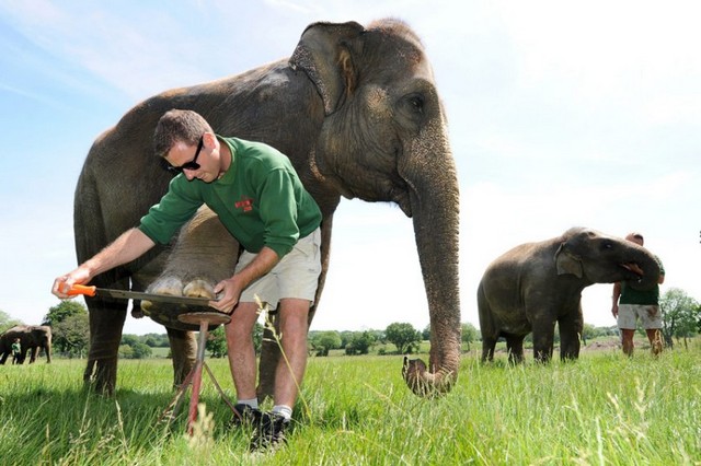 دیدنی های امروز