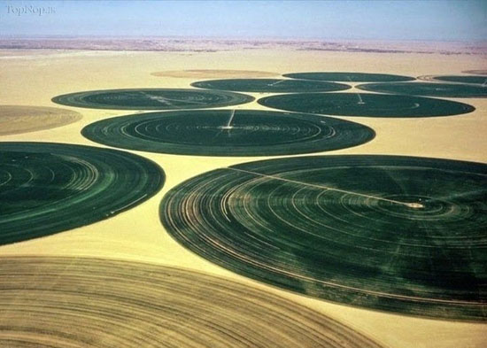 مزارع دایره‌ای حیرت‌انگیز در مغرب (+عکس)