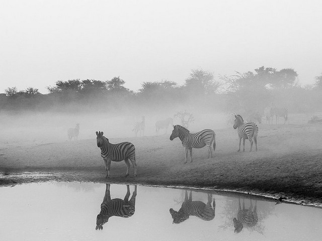 دیدنی های امروز