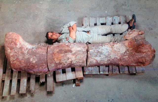 کشف فسیل بزرگترین دایناسور (+عکس)