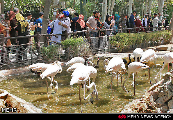 عکس از باغ پرندگان مشهد
