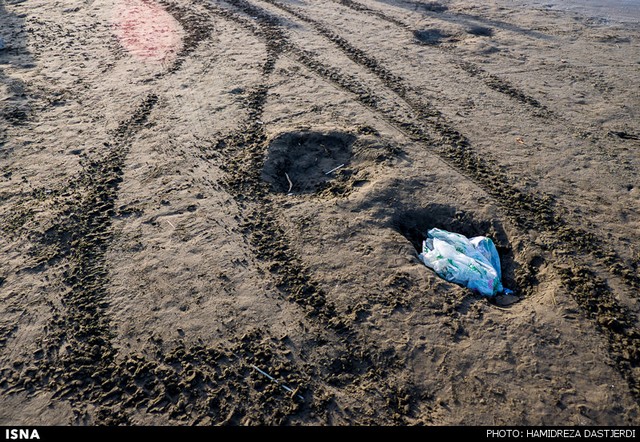 مرگ تدریجی یک دریا