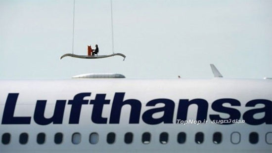 نواختن پیانو روی فرش پرنده (+عکس)