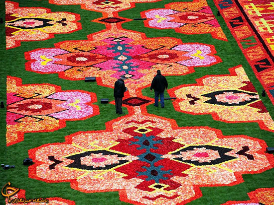 فرشی از گل در میدان بروکسل (+عکس)