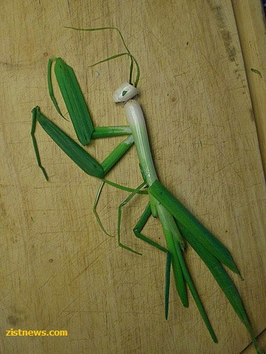 دیدنی و بدون شرح!(عکس)