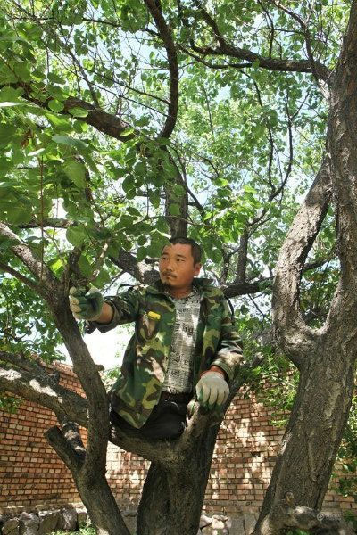 چوپان بی پا (عکس)