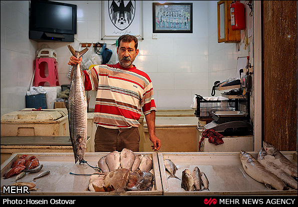 بازار ماهی و میگو بوشهر (عکس)