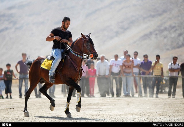 جشنواره زیبایی اسب - اراک (عکس)