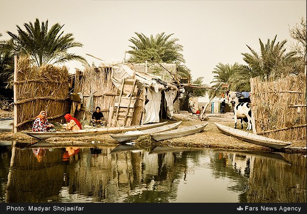 تالاب شادگان - خوزستان (عکس)