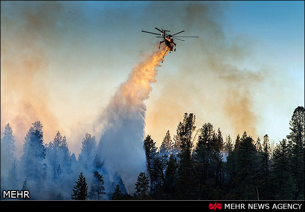 آتش سوزی گسترده در جنگل های آمریکا (عکس)