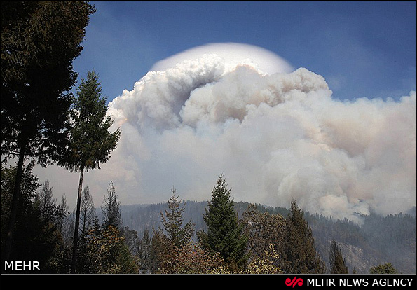 آتش سوزی گسترده در جنگل های آمریکا (عکس)