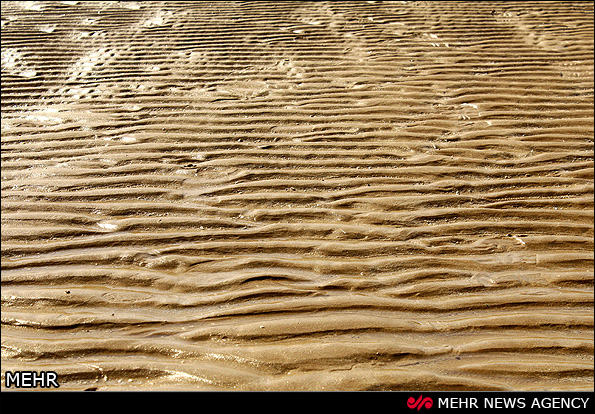 سواحل کنگان بوشهر (عکس)