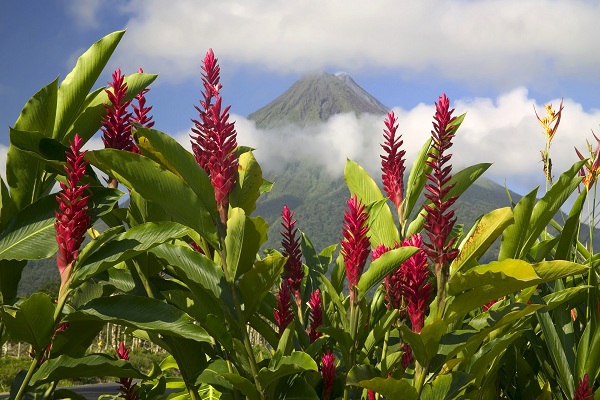 مناظر دیدنی(عکس)