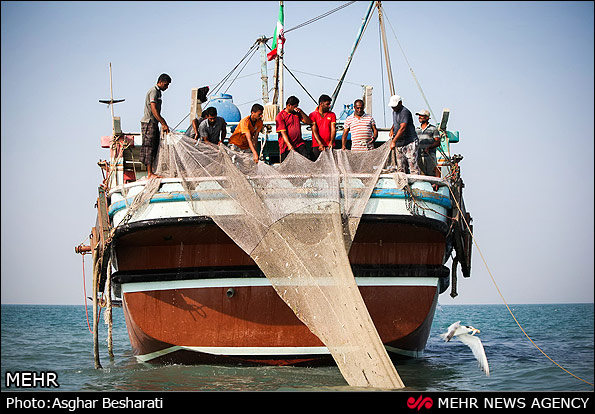 صید میگو - جزیره قشم (عکس)