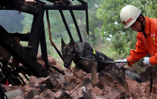 دیدنی های امروز