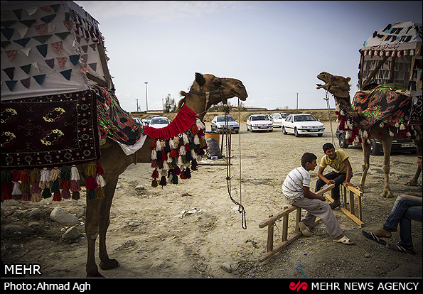 بازارچه و اسکله بندر ترکمن (عکس)