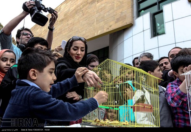 رهاسازی بلبل در تهران (عکس)