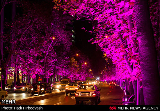 خیابان ولیعصر(عج) غرق نور (عکس)