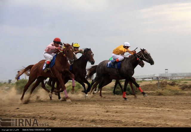 رقابت های اسب دوانی - گرگان (عکس)
