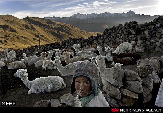 زندگی با روزی یک دلار! (عکس)